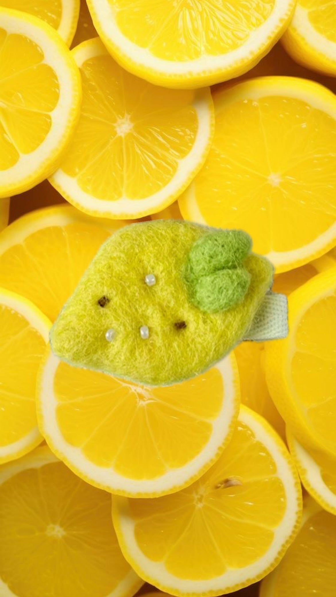Fruit Hair Clips