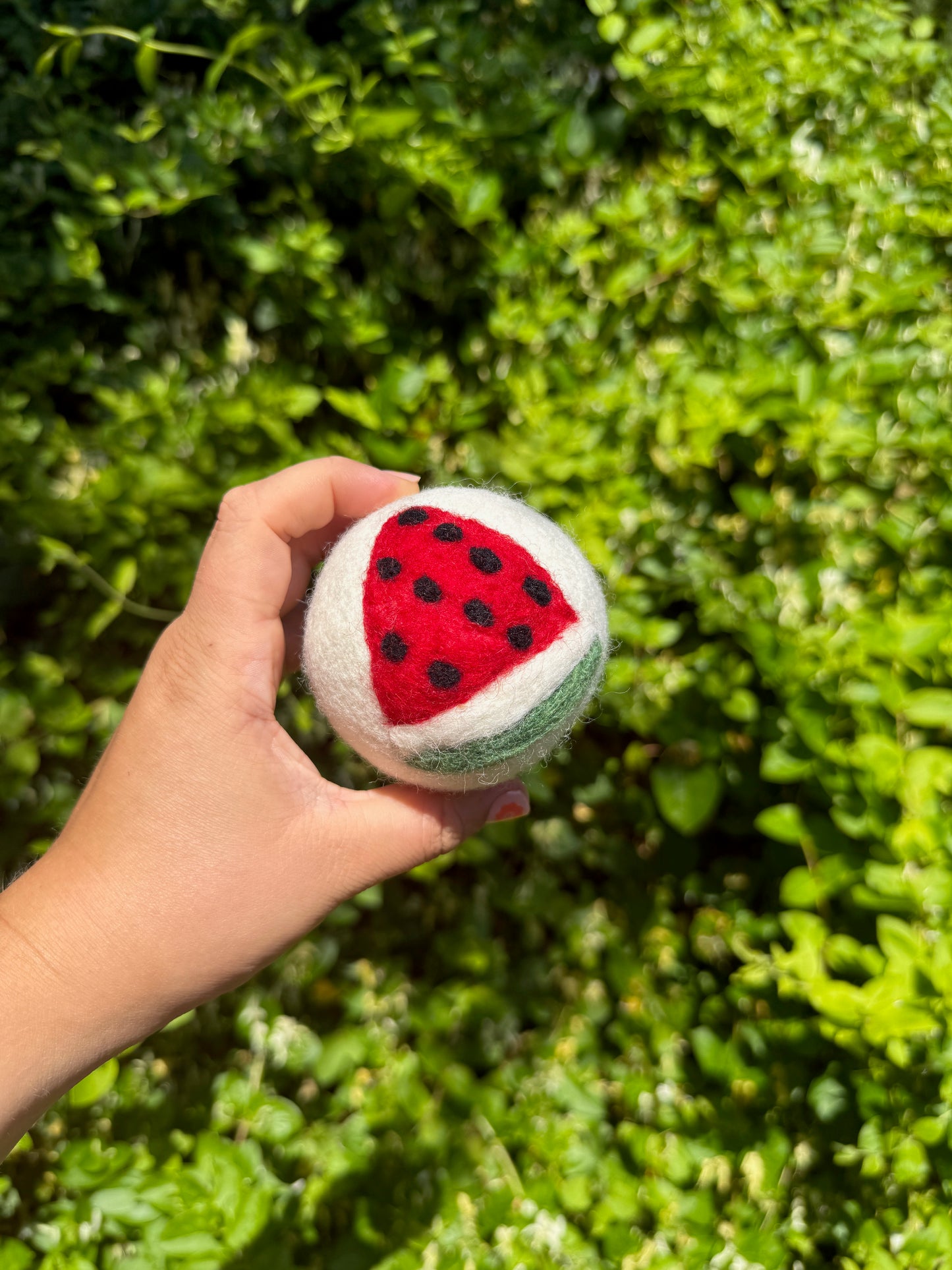 Watermelon Wool Dryer Ball