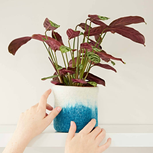 Handmade Felt Turquoise Ombre Plant Pot Cover