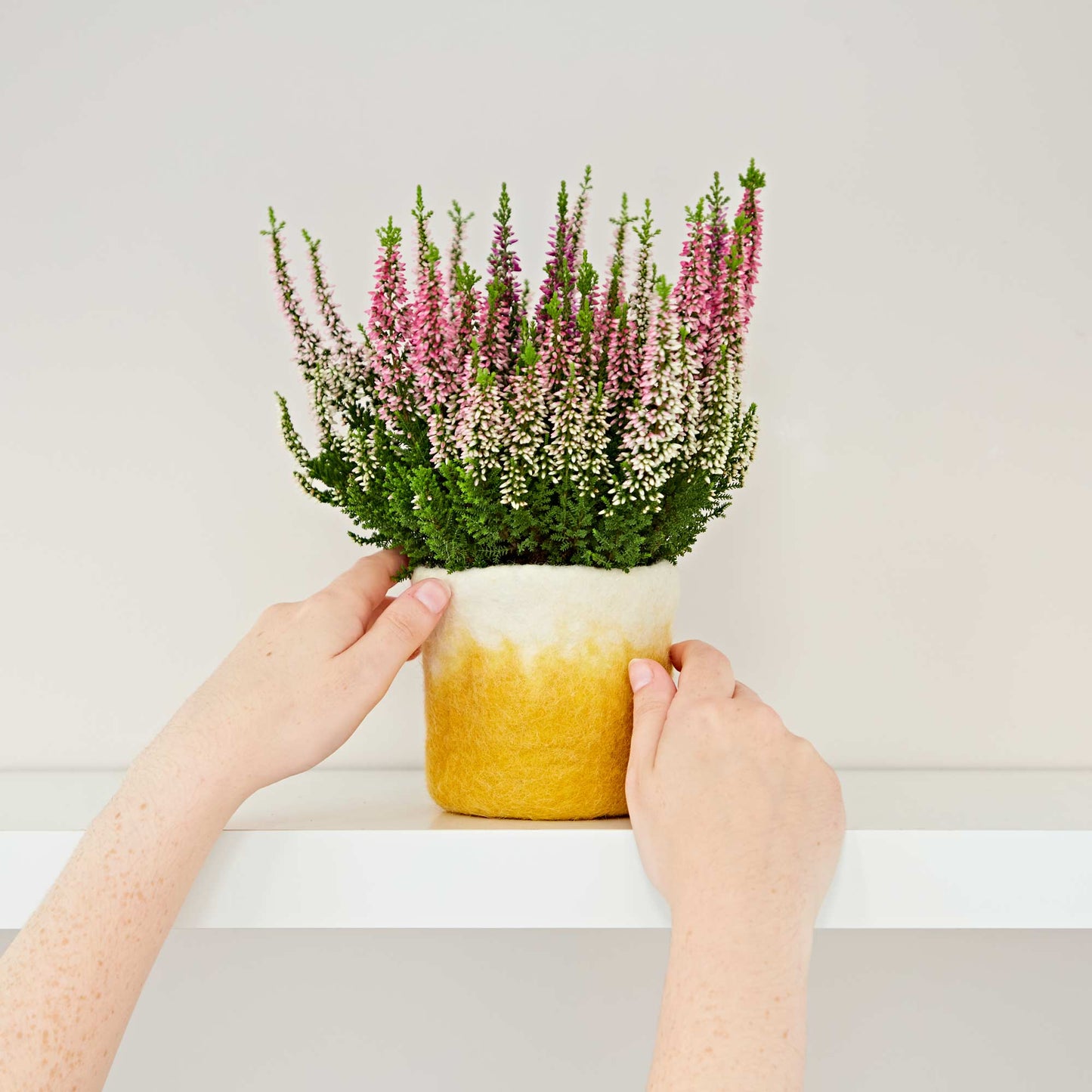 Handmade Felt Yellow Ombre Plant Pot Cover