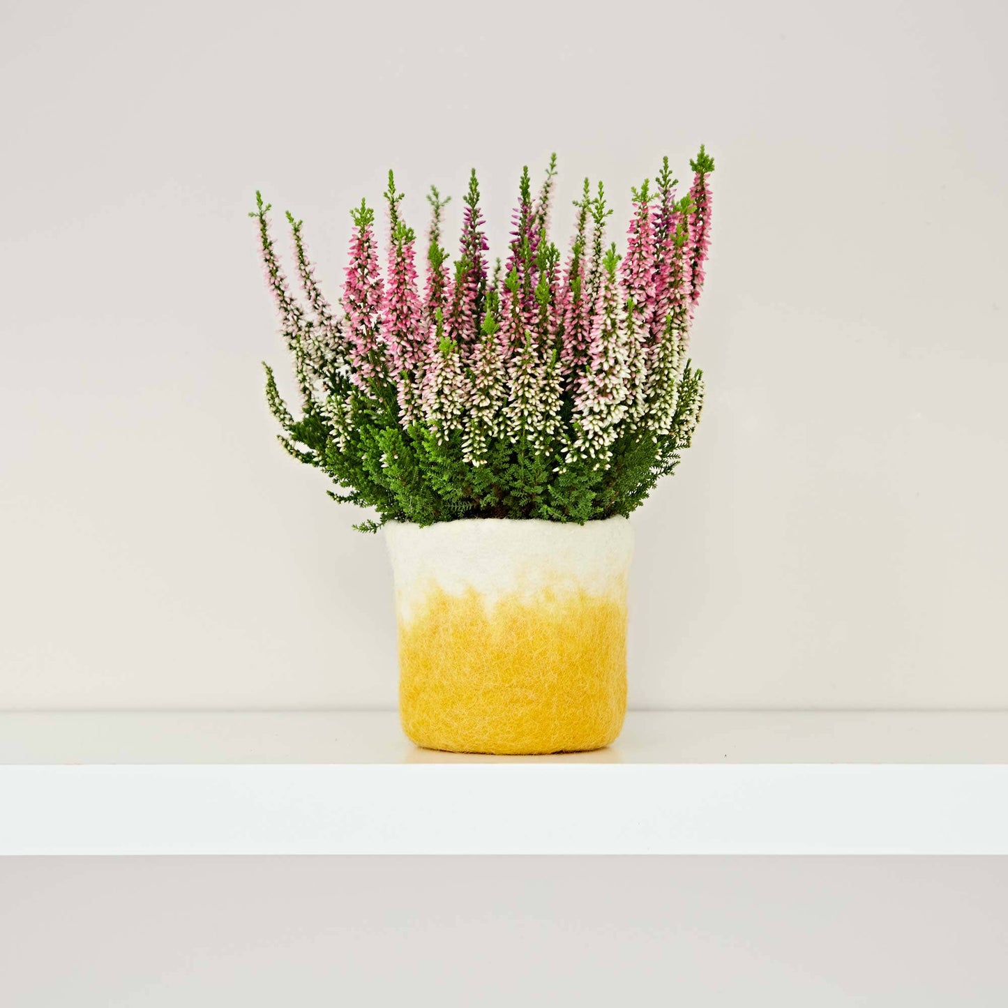 Handmade Felt Yellow Ombre Plant Pot Cover