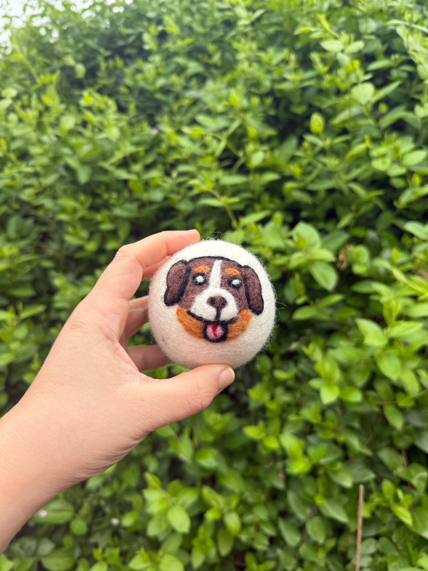Dark Brown Dog Dryer Ball