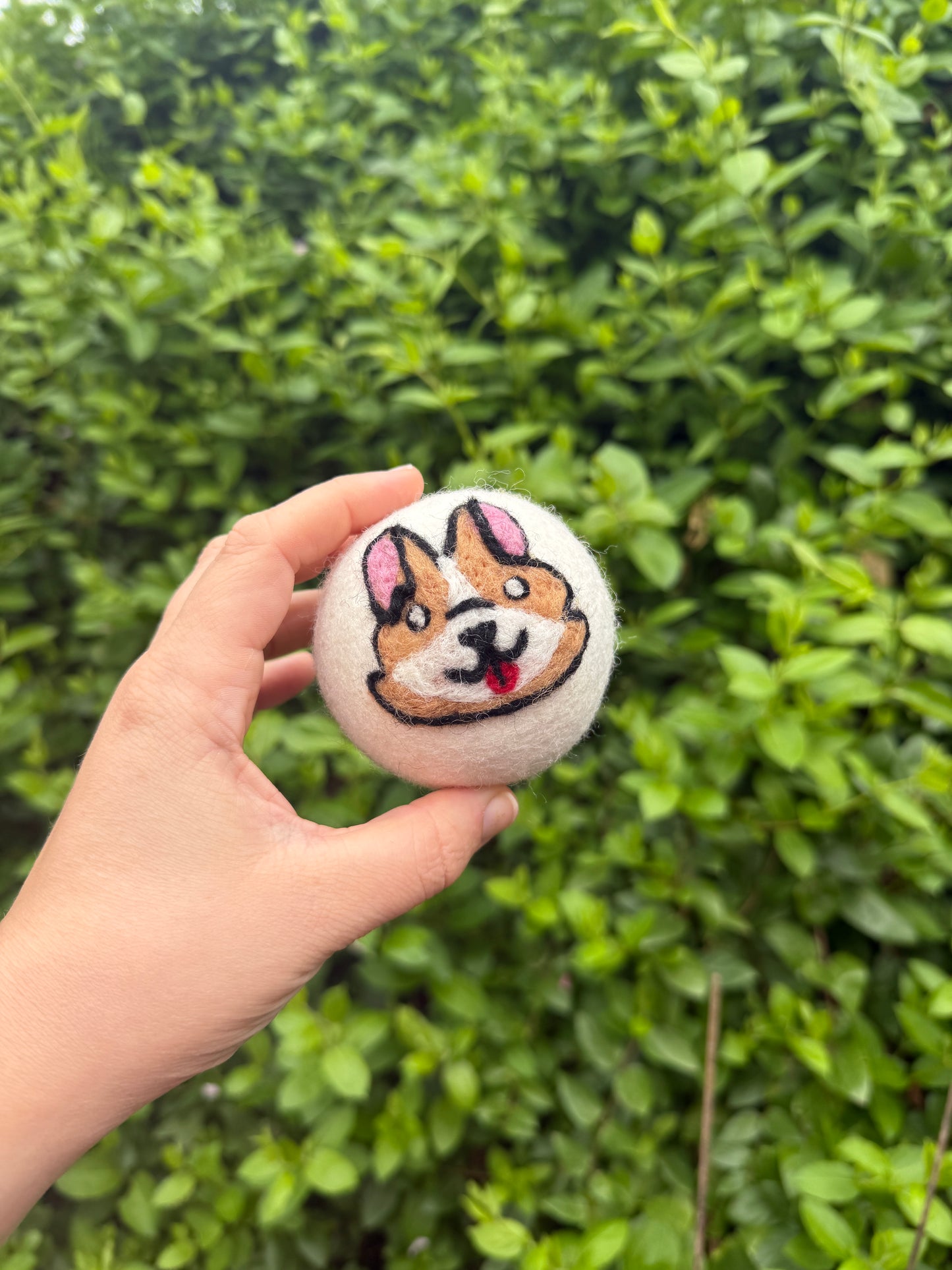 Corgi Dog Dryer Ball