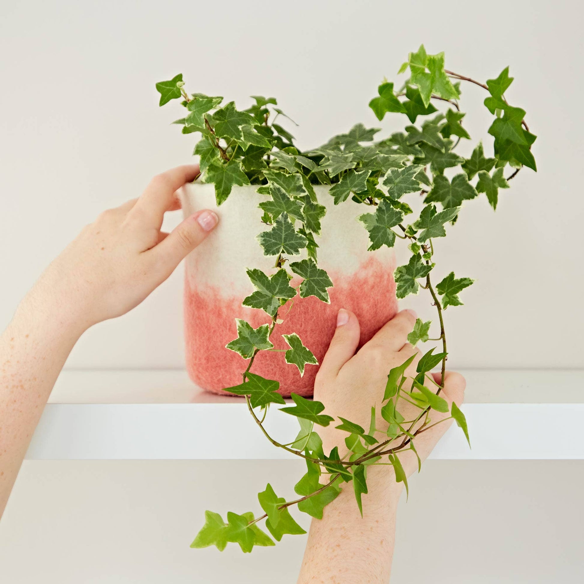 ombre plant pots Handmade Felt Peach Ombre Plant Pot Cover